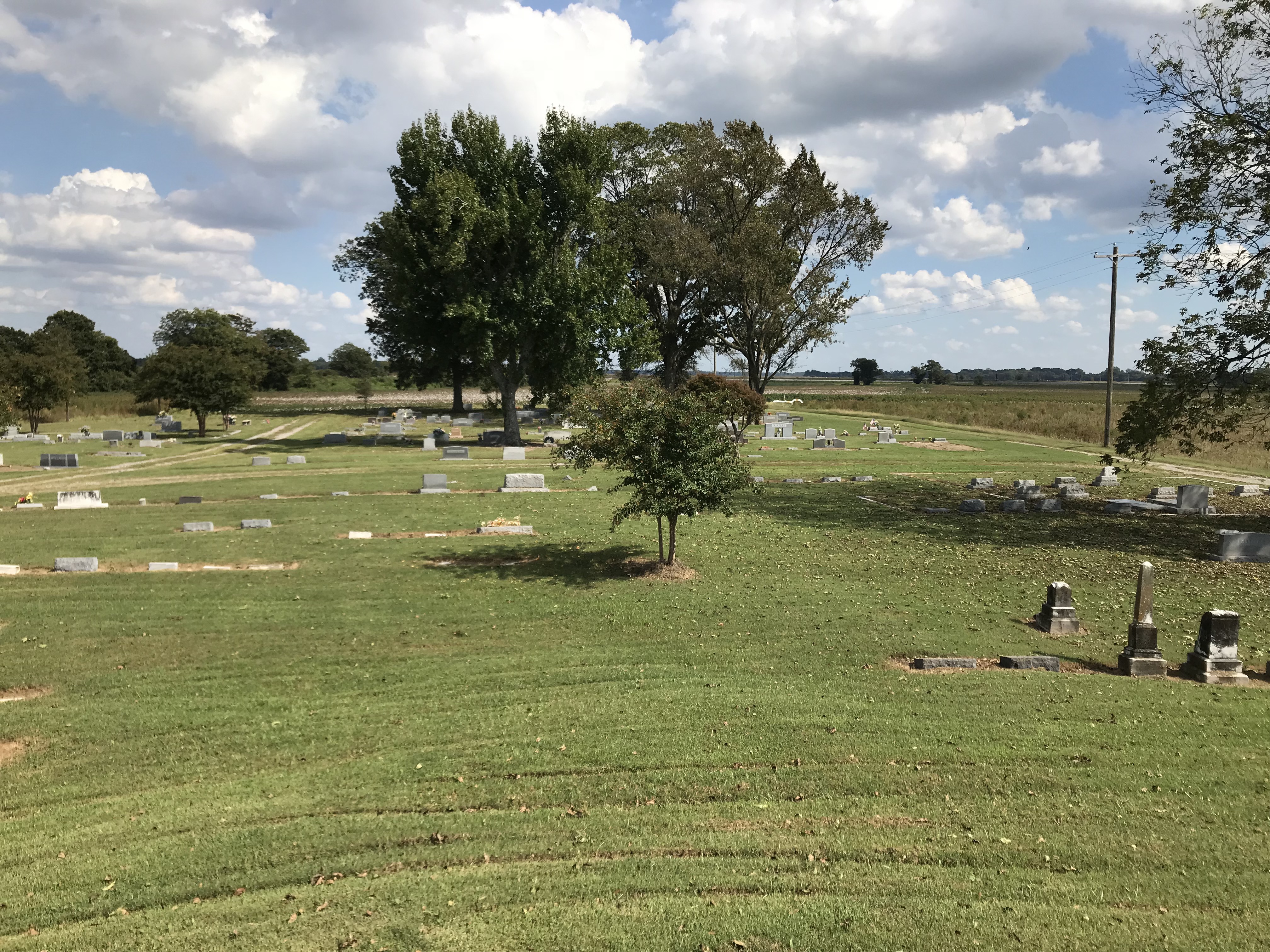 BLHaCYb%R8aZ3P0lYSFbjg