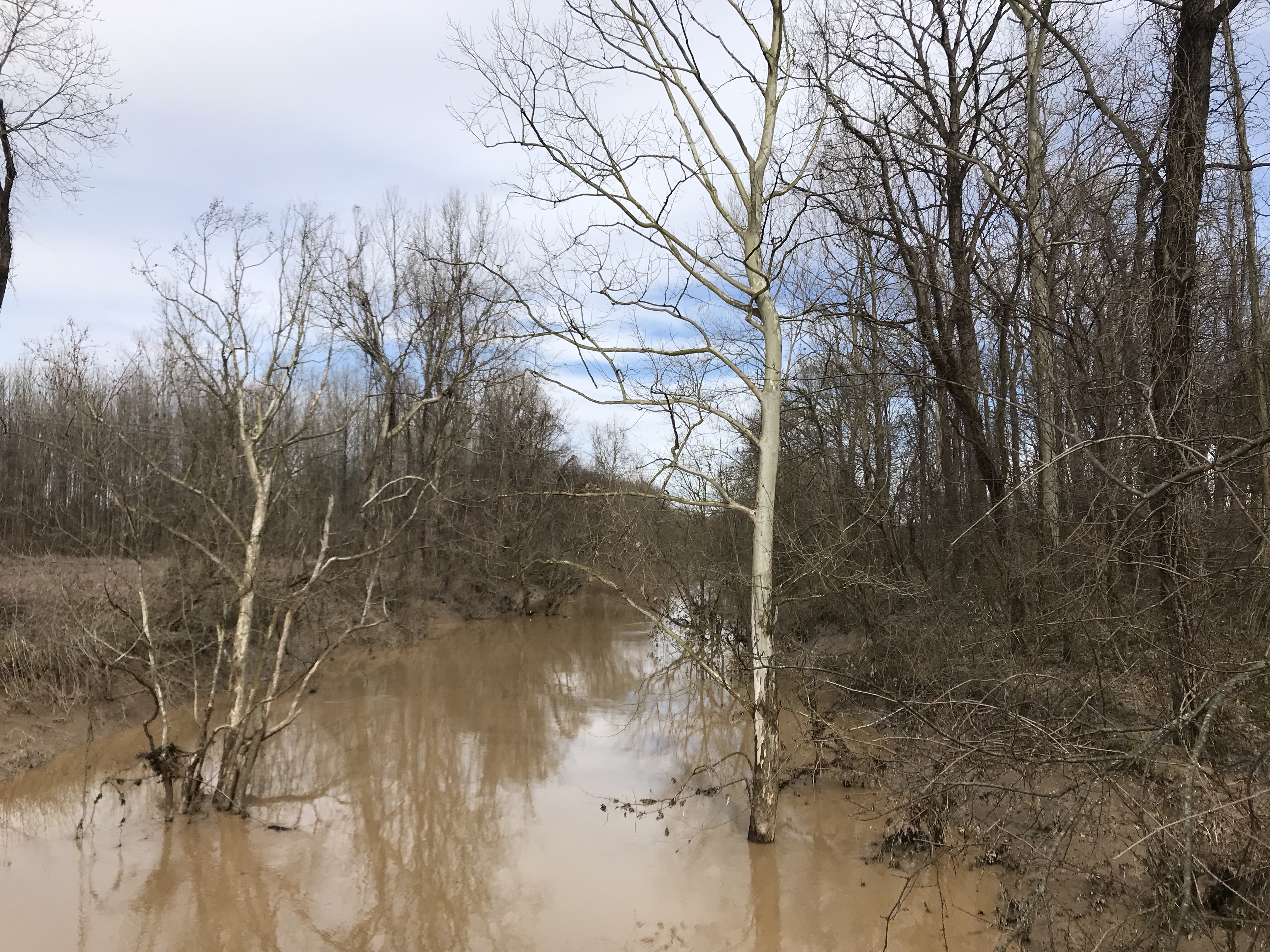 QXVRhkk%Q5uf+OZmDn4tjw