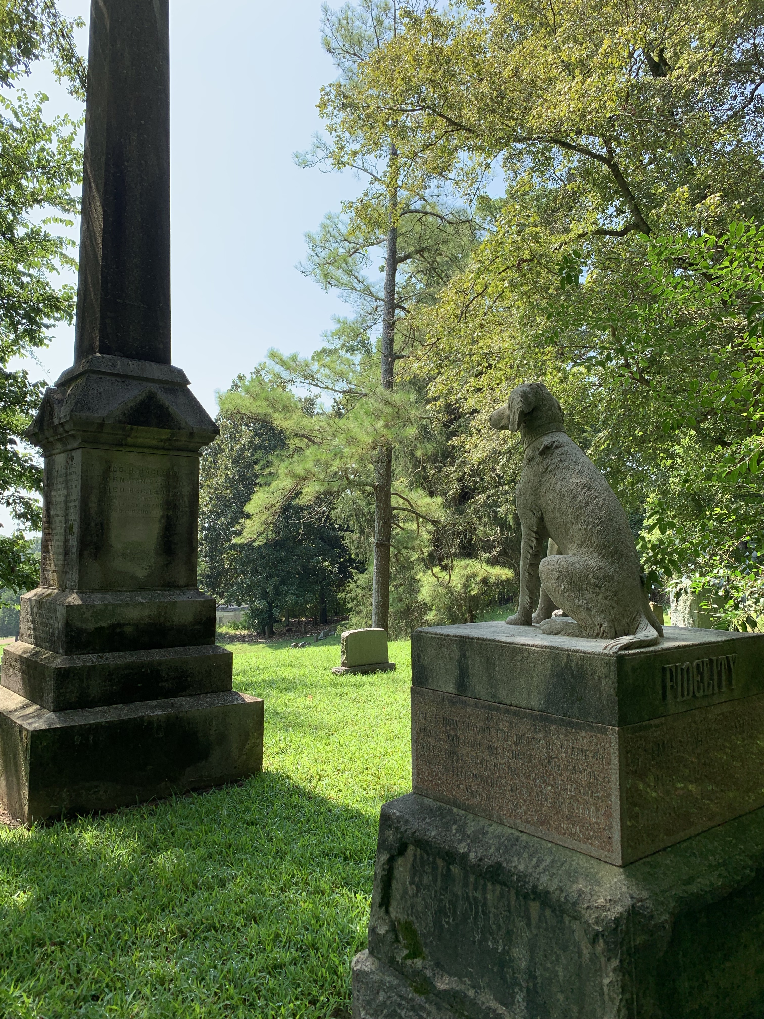 V8HiaoNFQjKFqyU3lduqKg