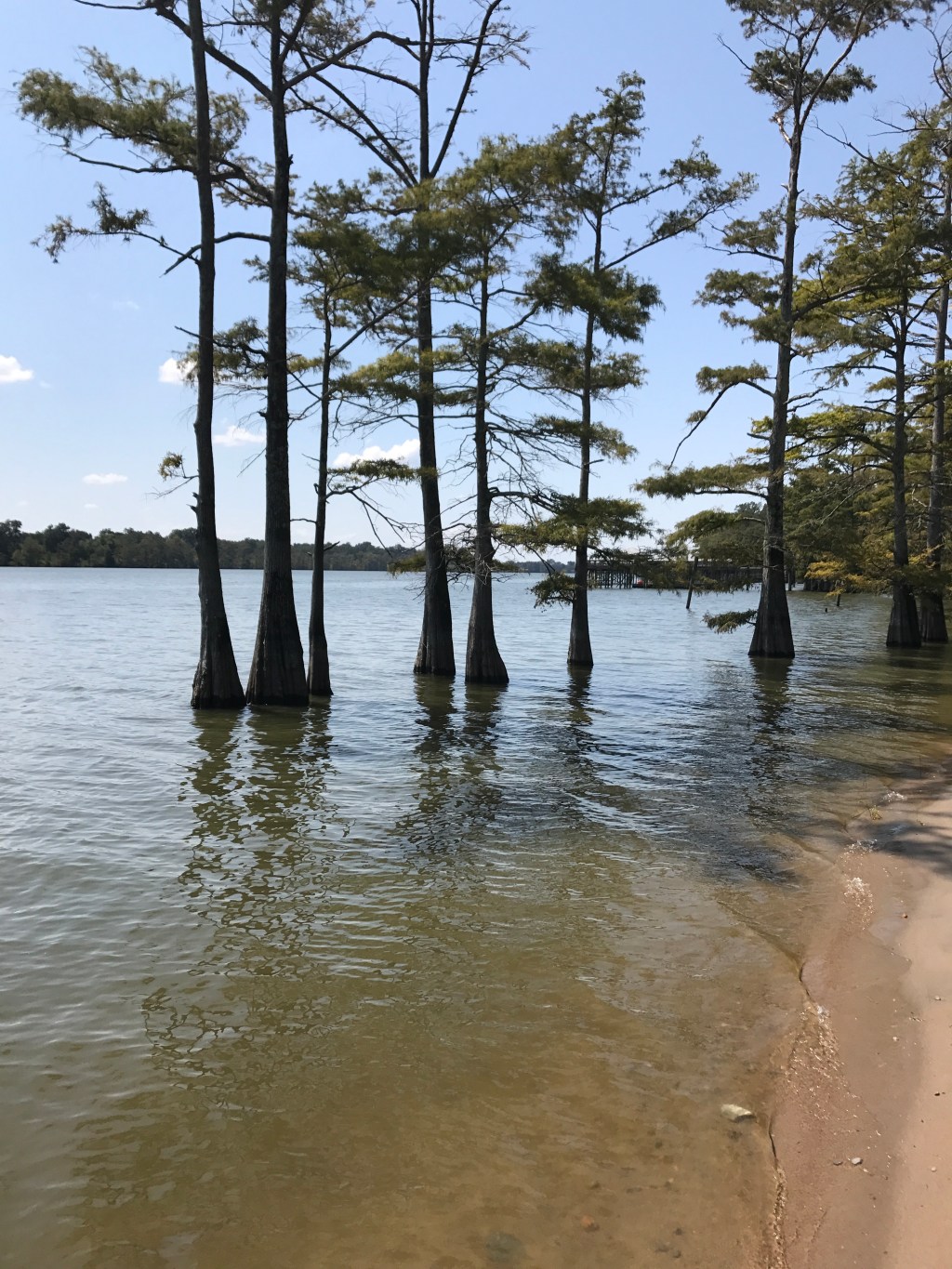 Moon Lake – Coahoma&nbsp;County